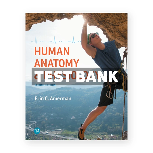 Human Anatomy and Physiology 2nd Amerman Test Bank
