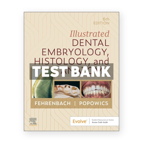 Illustrated Dental Embryology, Histology, and Anatomy 6th Fehrenbach Test Bank