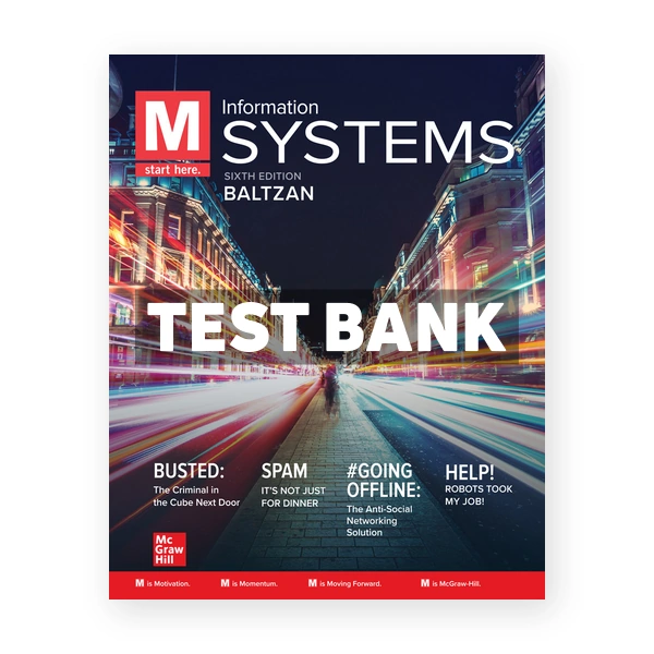 M Information Systems 6th Baltzan Test Bank